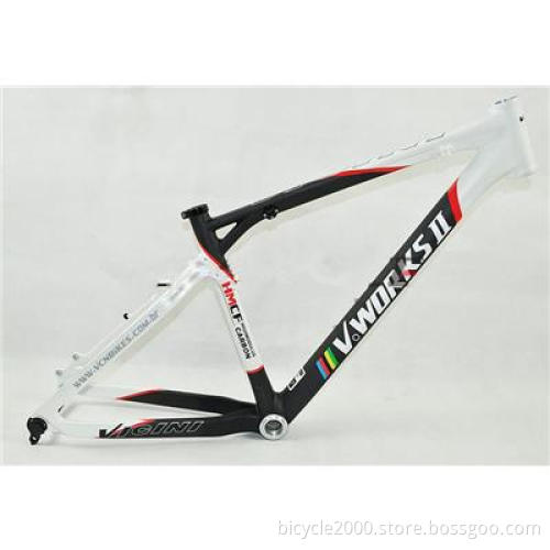 Brazil V-WORKS VICINI Full Carbon Fiber Mountain Bike Bicycl